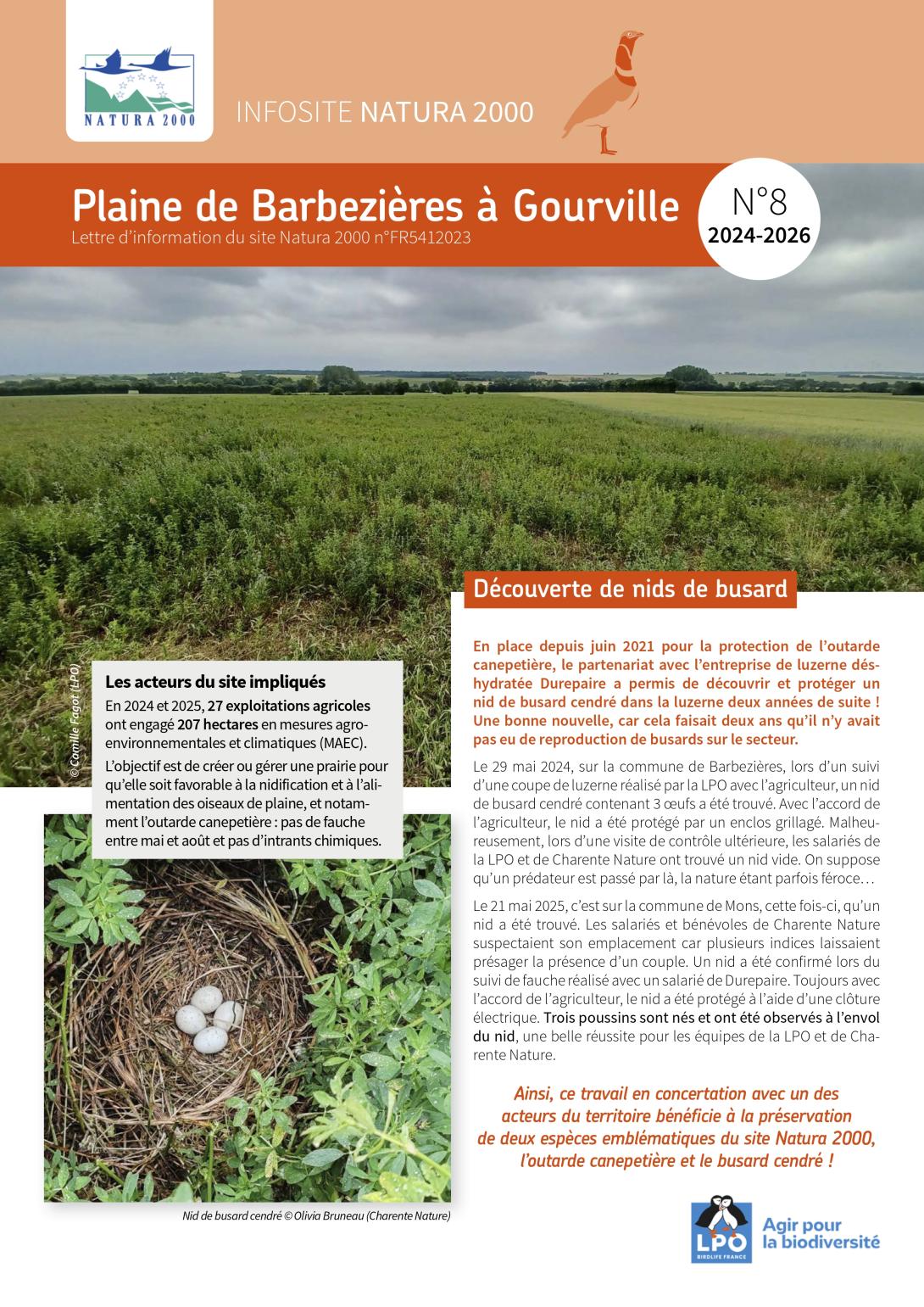 INFOSITE N°8_2026_p1